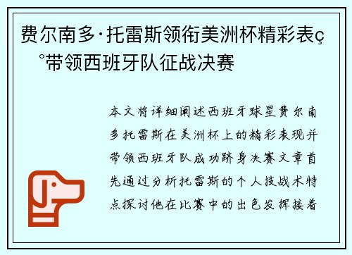 费尔南多·托雷斯领衔美洲杯精彩表现带领西班牙队征战决赛