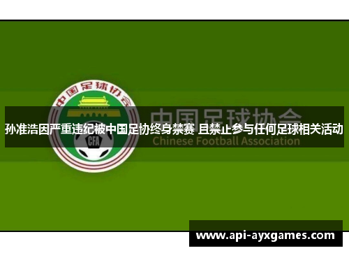 孙准浩因严重违纪被中国足协终身禁赛 且禁止参与任何足球相关活动 孙准浩因严重违纪被中国足协终身禁赛 且禁止参与任何足球相关活动
